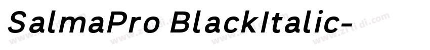 SalmaPro BlackItalic字体转换 SalmaPro BlackItalic字体转换